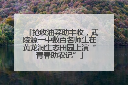 抢收油菜助丰收，武陵源一中数百名师生在黄龙洞生态田园上演“青春助农记”