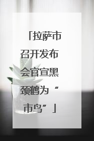 拉萨市召开发布会官宣黑颈鹤为“市鸟”