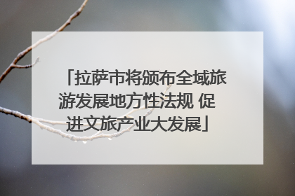 拉萨市将颁布全域旅游发展地方性法规 促进文旅产业大发展