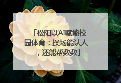 松阳以AI赋能校园体育：操场能认人，还能帮数数