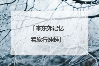 来东郊记忆 看旅行蛙蛙