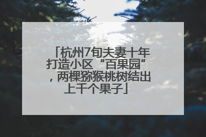 杭州7旬夫妻十年打造小区“百果园”，两棵猕猴桃树结出上千个果子