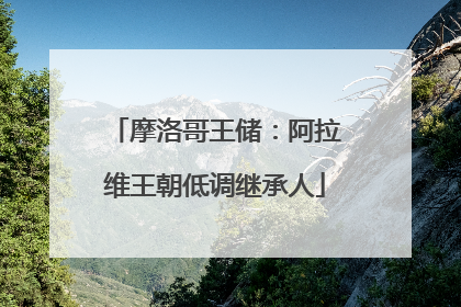 摩洛哥王储：阿拉维王朝低调继承人