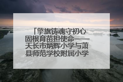 擎旗铸魂守初心 固根育苗担使命——天长市炳辉小学与萧县师范学校附属小学结对共建活动纪实