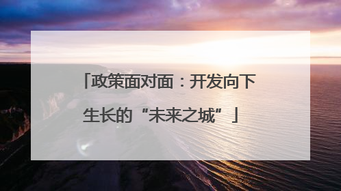 政策面对面：开发向下生长的“未来之城”