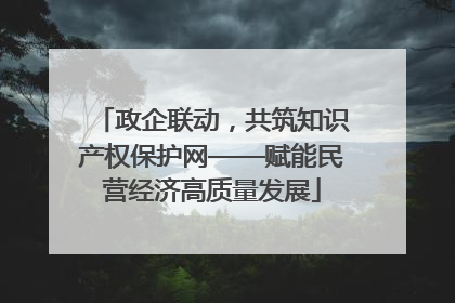 政企联动，共筑知识产权保护网——赋能民营经济高质量发展