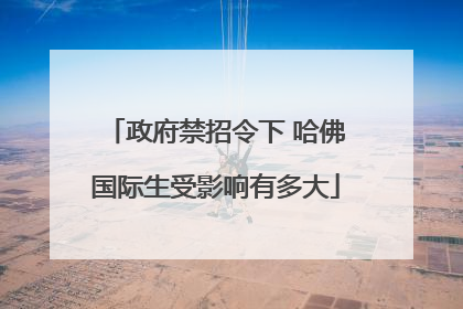 政府禁招令下 哈佛国际生受影响有多大