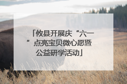 攸县开展庆“六一”点亮宝贝微心愿暨公益研学活动