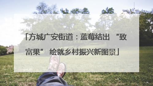 方城广安街道：蓝莓结出 “致富果” 绘就乡村振兴新图景