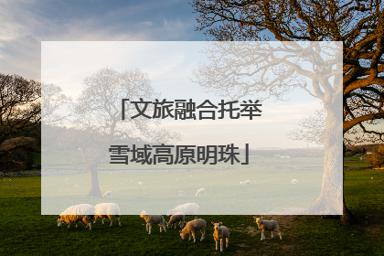 文旅融合托举雪域高原明珠