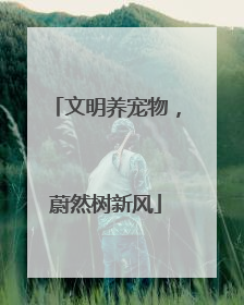 文明养宠物,蔚然树新风