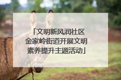 文明新风润社区 金家岭街道开展文明素养提升主题活动