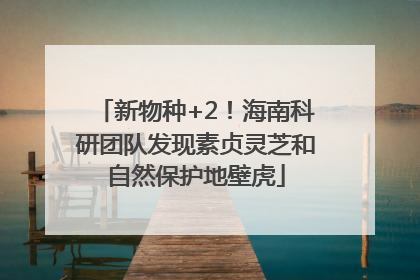 新物种+2！海南科研团队发现素贞灵芝和自然保护地壁虎