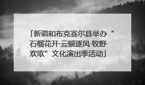 新疆和布克赛尔县举办“石榴花开·云骥逐风·牧野欢歌”文化演出季活动