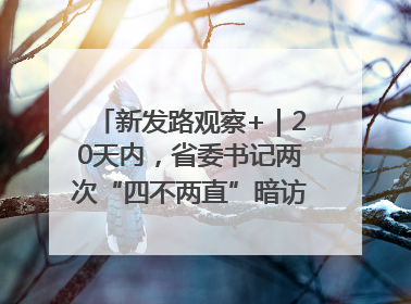 新发路观察+｜20天内，省委书记两次“四不两直”暗访，有何深意？