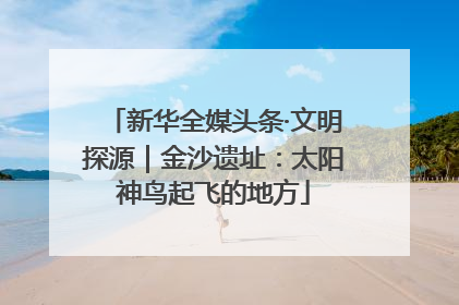 新华全媒头条·文明探源｜金沙遗址：太阳神鸟起飞的地方