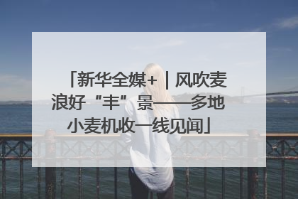 新华全媒+｜风吹麦浪好“丰”景——多地小麦机收一线见闻