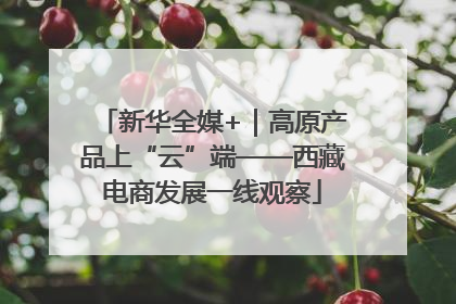 新华全媒+｜高原产品上“云”端——西藏电商发展一线观察
