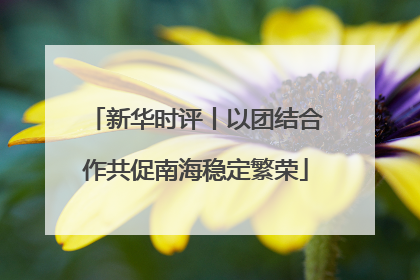 新华时评丨以团结合作共促南海稳定繁荣