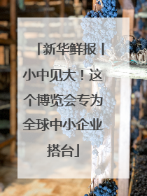 新华鲜报丨小中见大！这个博览会专为全球中小企业搭台