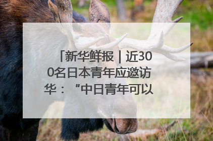 新华鲜报｜近300名日本青年应邀访华：“中日青年可以创造更好的未来”