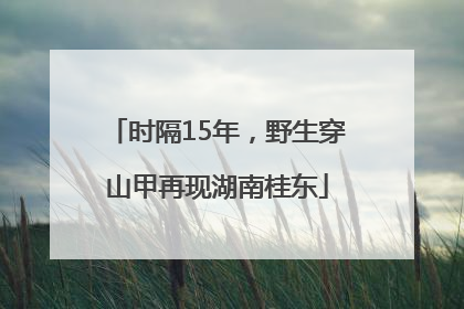 时隔15年，野生穿山甲再现湖南桂东