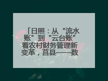 日照：从“流水账”到“云台账”看农村财务管理新变革，莒县——数字赋能激活乡村振兴“一池春水”