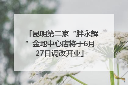 昆明第二家“胖永辉”金地中心店将于6月27日调改开业