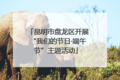 昆明市盘龙区开展“我们的节日·端午节”主题活动