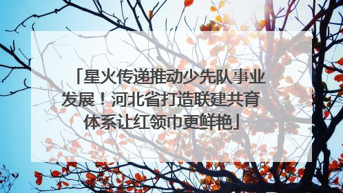 星火传递推动少先队事业发展！河北省打造联建共育体系让红领巾更鲜艳