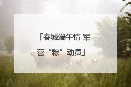 春城端午情 军营“粽”动员