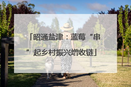 昭通盐津：蓝莓“串”起乡村振兴增收链