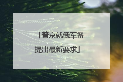 普京就俄军备提出最新要求