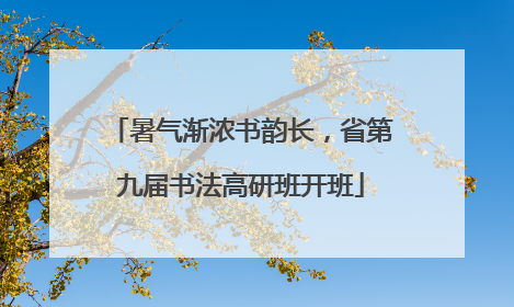 暑气渐浓书韵长，省第九届书法高研班开班