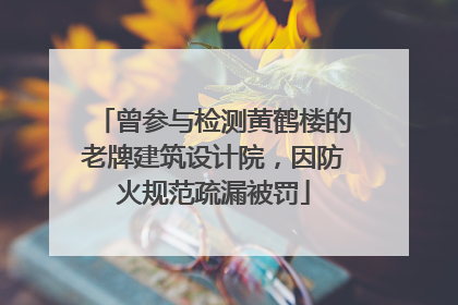 曾参与检测黄鹤楼的老牌建筑设计院，因防火规范疏漏被罚
