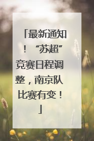 最新通知！“苏超”竞赛日程调整，南京队比赛有变！