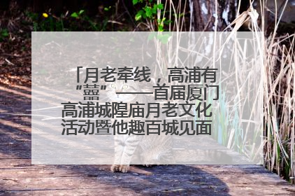 月老牵线，高浦有“囍”——首届厦门高浦城隍庙月老文化活动暨他趣百城见面会隆重举办
