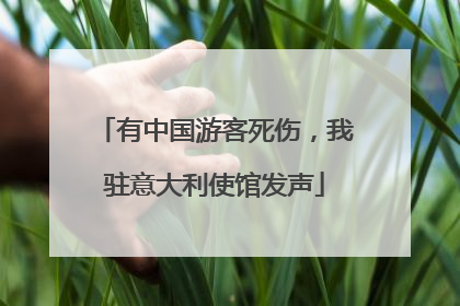 有中国游客死伤，我驻意大利使馆发声