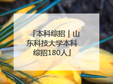 本科综招｜山东科技大学本科综招180人