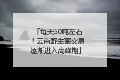 每天50吨左右！云南野生菌交易逐渐进入高峰期