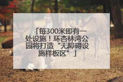 每300米即有一处设施！环杏林湾公园将打造“无障碍设施样板区”