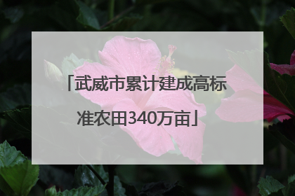 武威市累计建成高标准农田340万亩
