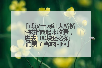 武汉一网红大桥桥下被指圈起来收费，进去100块还必须消费？当地回应