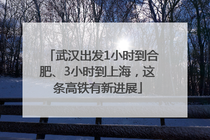 武汉出发1小时到合肥、3小时到上海，这条高铁有新进展