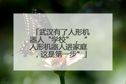 武汉有了人形机器人“学校”，“人形机器人进家庭，这是第一步”