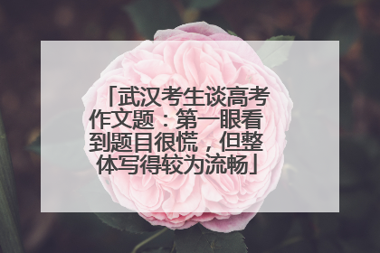 武汉考生谈高考作文题：第一眼看到题目很慌，但整体写得较为流畅