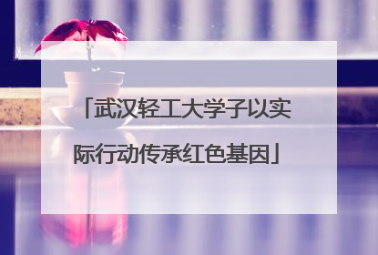 武汉轻工大学子以实际行动传承红色基因