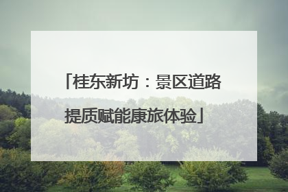 桂东新坊：景区道路提质赋能康旅体验