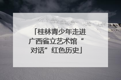 桂林青少年走进广西省立艺术馆“对话”红色历史