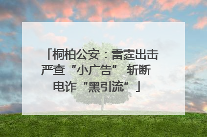 桐柏公安：雷霆出击严查“小广告” 斩断电诈“黑引流”